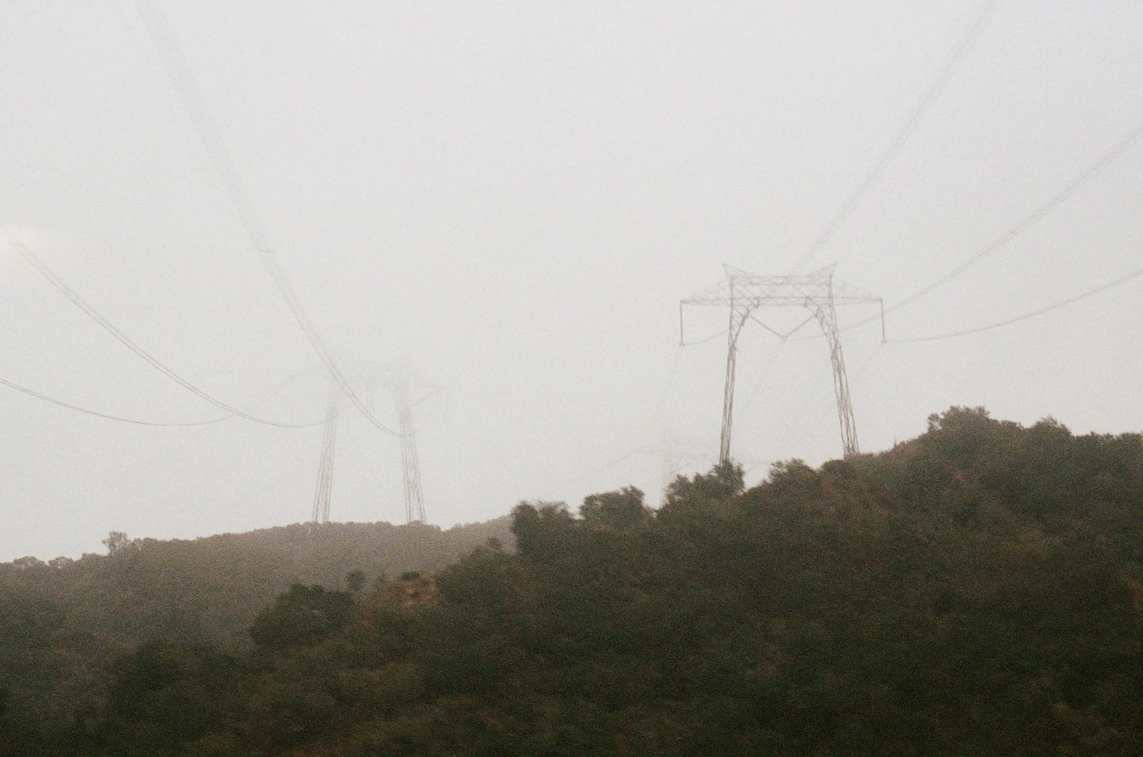 Film photograph from California.