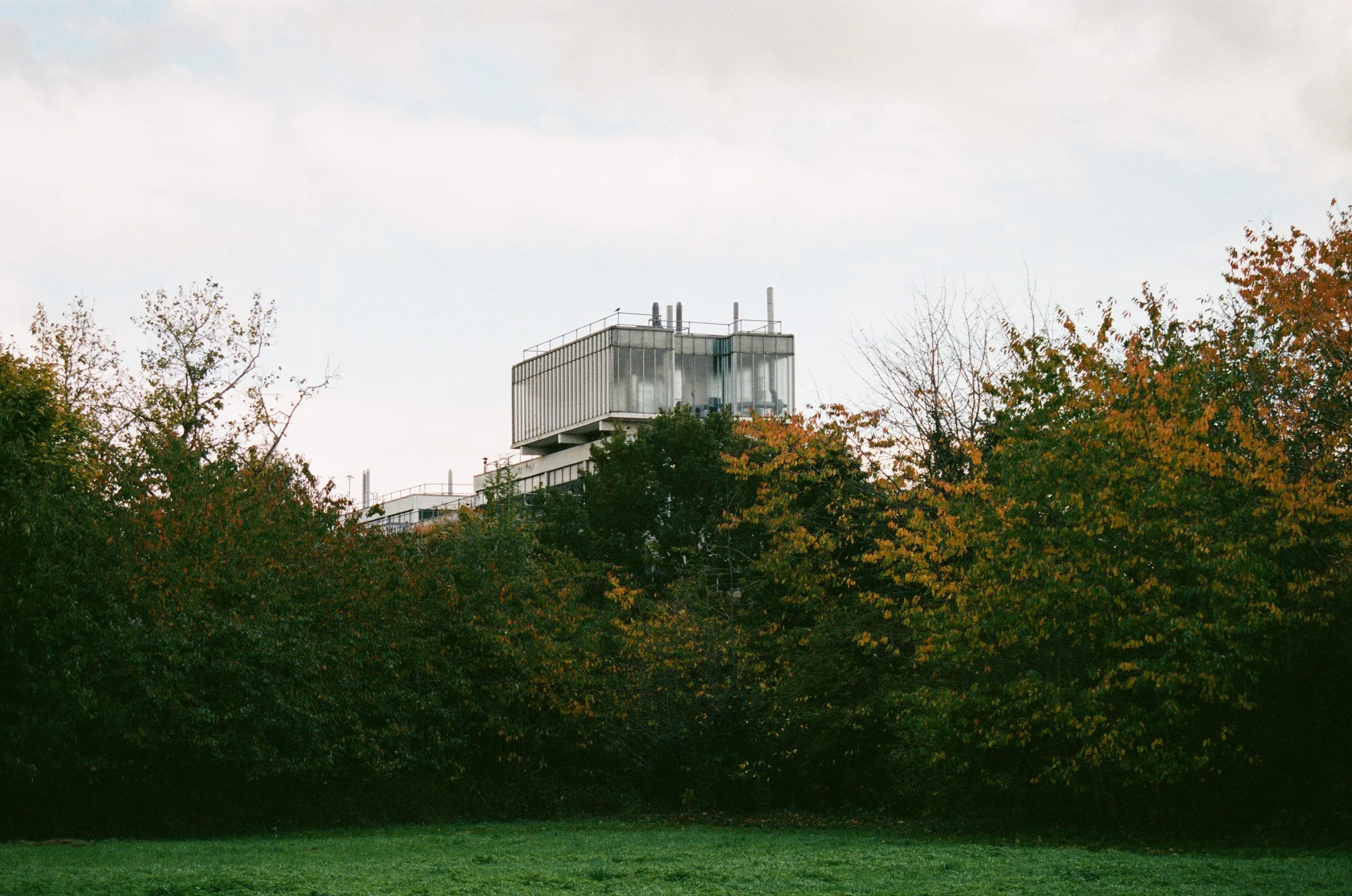 Film photograph from Brunel.